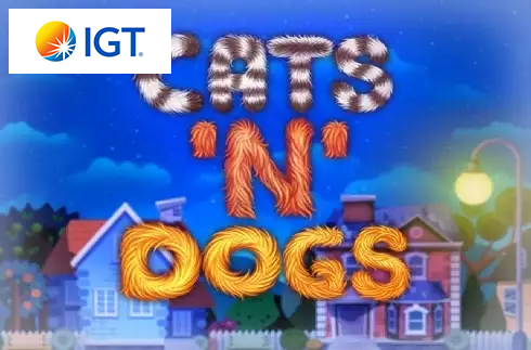 Cats 'N' Dogs